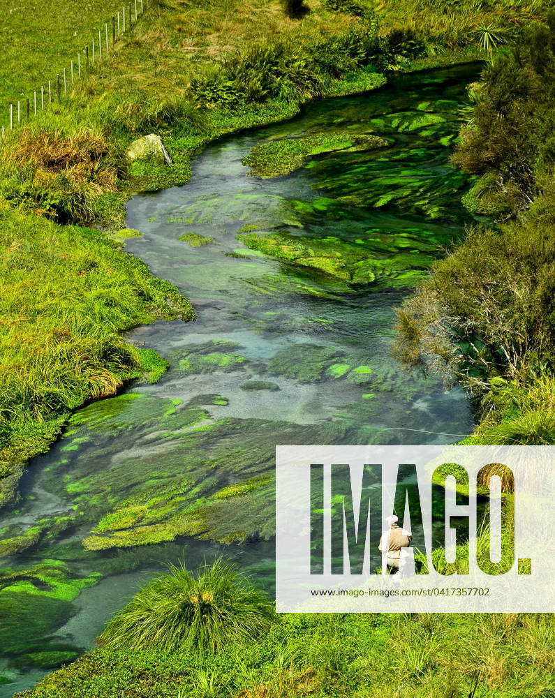 Waihou River New Zealand Spring Creek