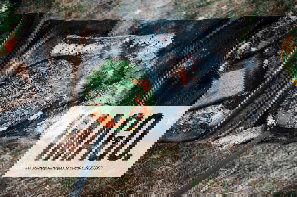 Salmon cooking on open fire Fort Collins, Colorado, United States