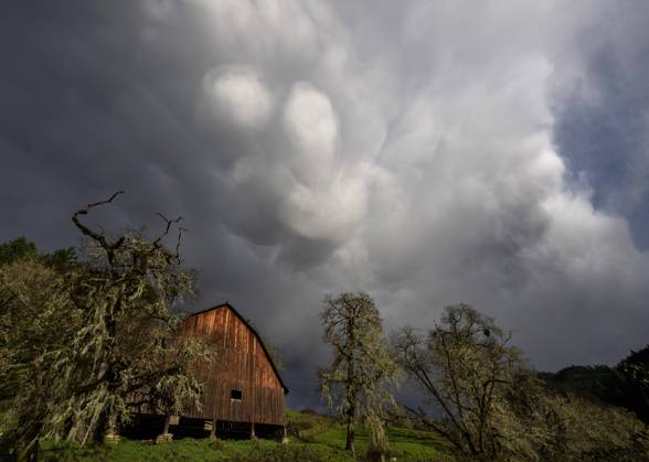 March 3, 2024, Elkton, Oregon, USA: Clouds roil in the sky over an old ...