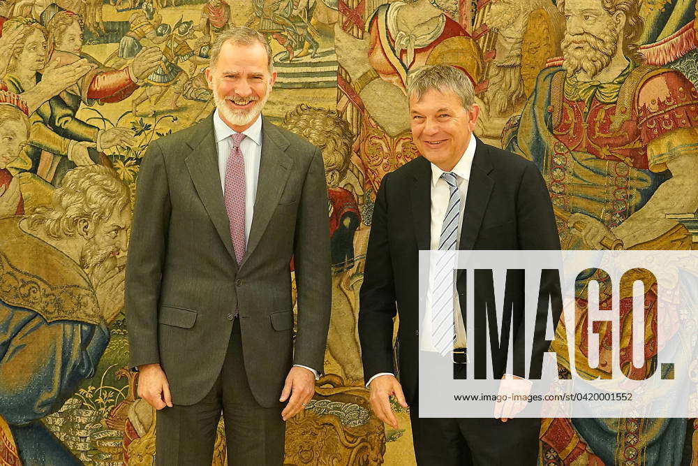 King Felipe VI of Spain (l) receives in audience Mr. Philippe Lazzarini ...