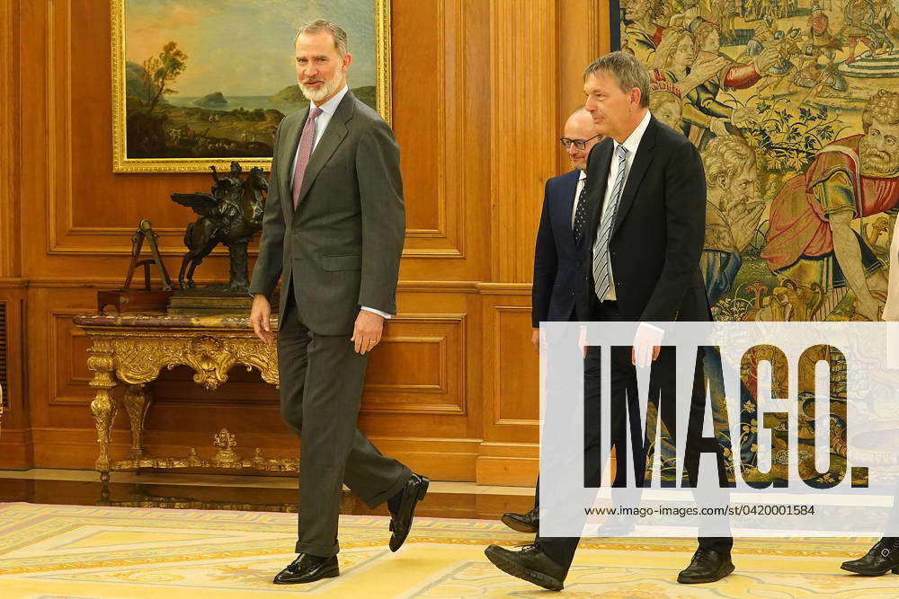 King Felipe VI of Spain (l) receives in audience Mr. Philippe Lazzarini ...