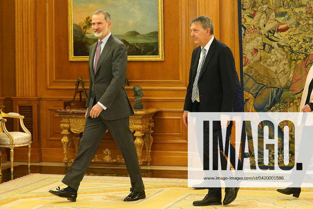 King Felipe VI of Spain (l) receives in audience Mr. Philippe Lazzarini ...