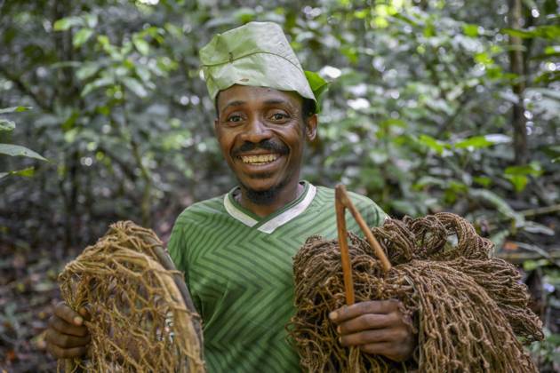 Pygmy from VOlk the BAKA Or BaAka with its Traps and Hunting nets at ...