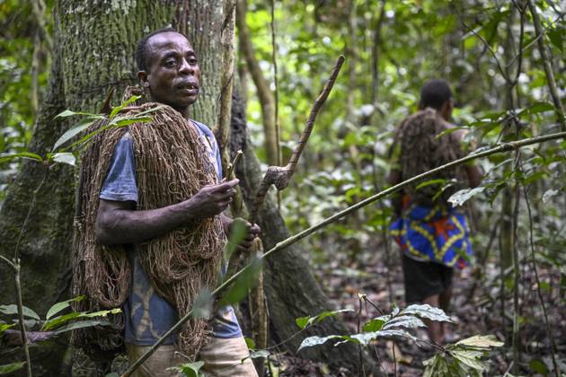 Pygmy from VOlk the BAKA Or BaAka with its Traps and Hunting nets at ...