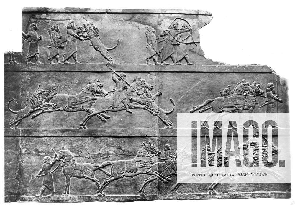 ASSYRIA: HUNTING SCENE. Sculptures in bas-relief from King Ashurbanipal ...