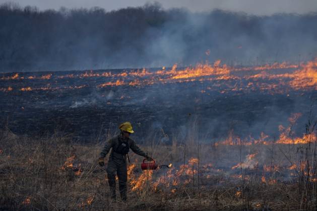 LIFE-ENV-PRAIRIE-BURNS-2-TB Restoration technician Jacob Churulo guides ...