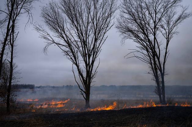 LIFE-ENV-PRAIRIE-BURNS-5-TB A prescribed burn clears 124 acres at ...