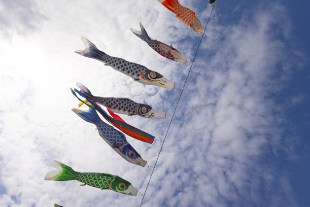 Koinobori decoration in honour of Children Day in Yokohama, Japan - 2 ...