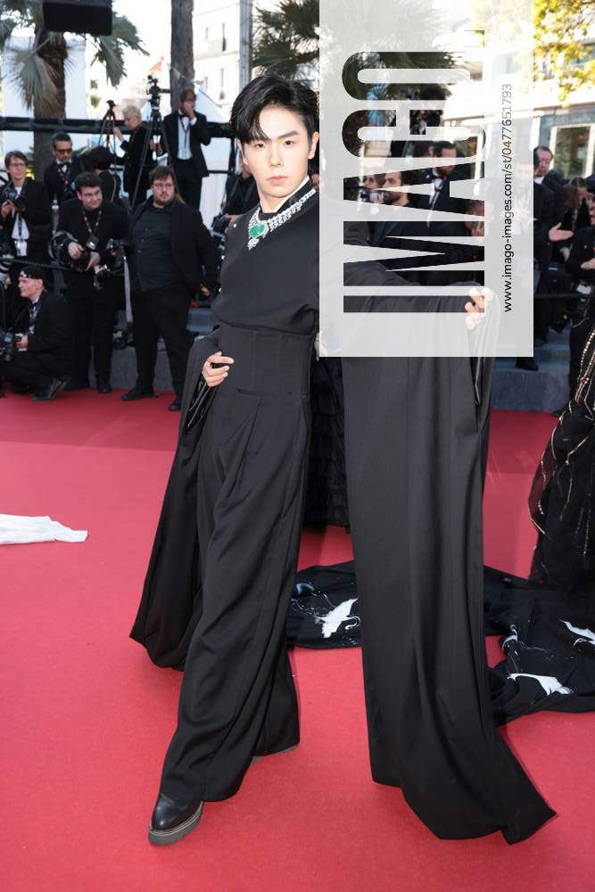 CANNES, FRANCE - MAY 16: Online influencer Yan Hao attends the ...