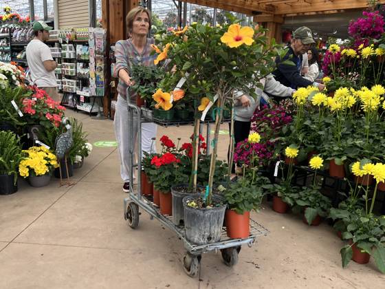 Canadians Shop For Plants And Flowers During The Victoria Day Long ...