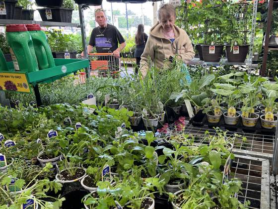 Canadians Shop For Plants And Flowers During The Victoria Day Long ...