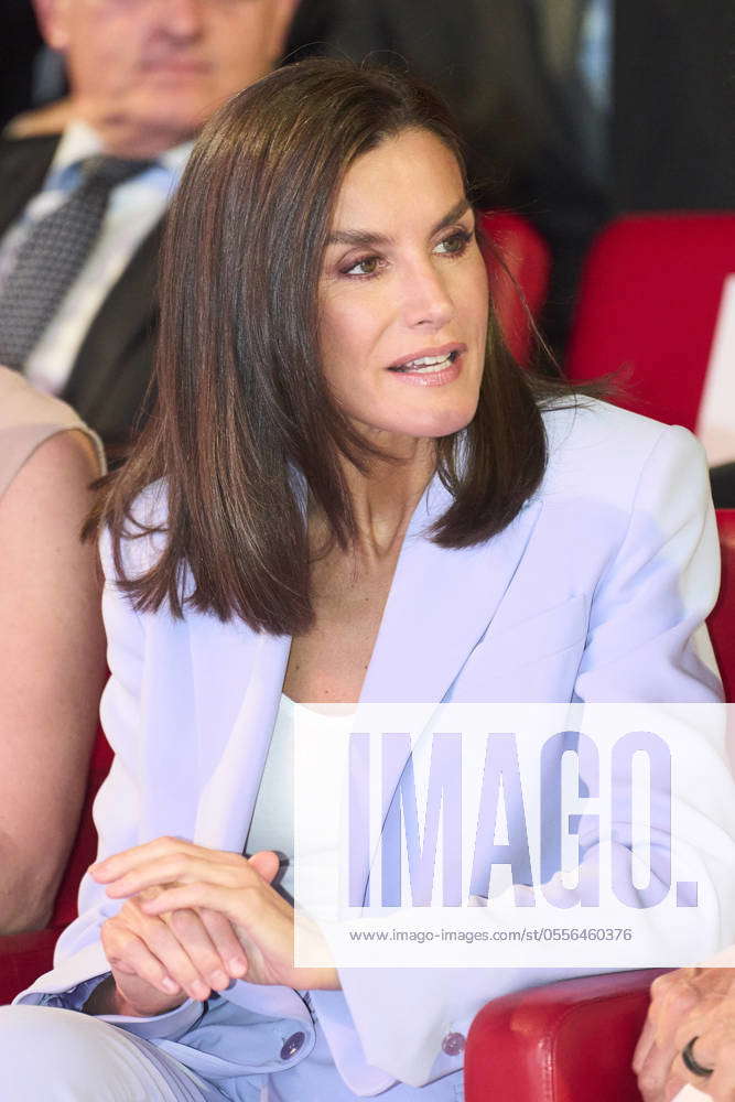 Queen Letizia attends Annual call for applications for the ˜Social ...