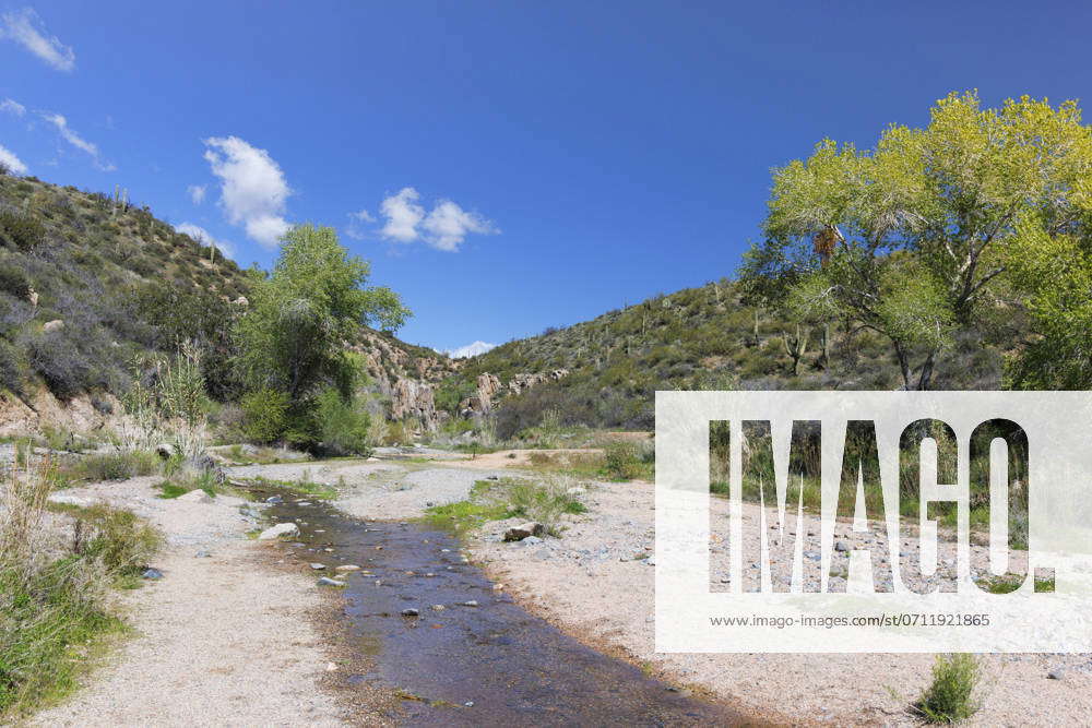 Blue Wash Trail to the Camp Creek If, USA, Arizona, Sonora, Cave Creek ...