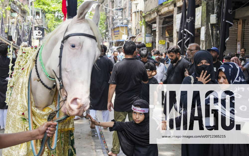 Muharram procession in Kolkata Kolkata: A Muslim girl touches a horse ...