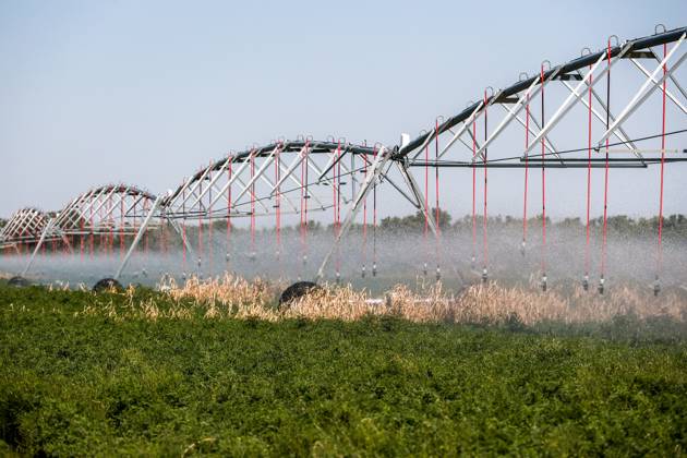 RUSSIA, VOLGOGRAD REGION JULY 25, 2024 An irrigation machine sprays