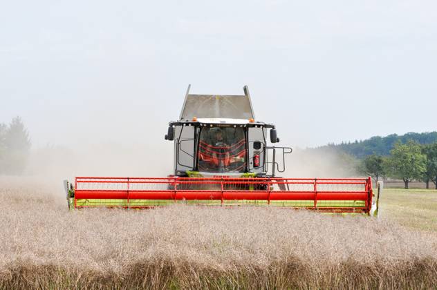 agriculture, field work 25 07 2024, Linz, AUT, field work, in the ...