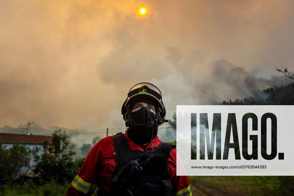 Portugal declares a state of calamity as wildfires rage out of control ...