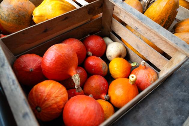 Small ornamental pumpkins in a wooden box. Small ornamental pumpkins in ...