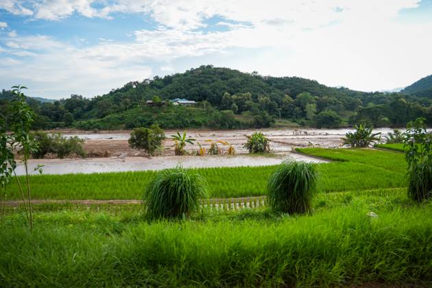 Agricultural Landscapes, in Chiang Rai, in Northern Thailand - 17 Sept ...