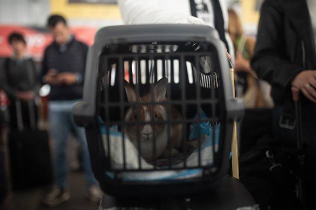 Madrid Rabbit The first AVE to Madrid leaves from Valencia after the passage of the ...