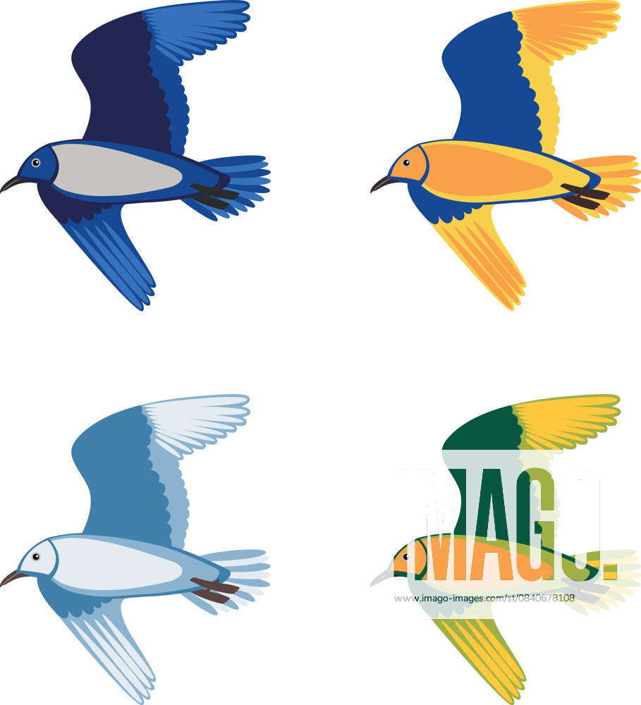 Set of Colorful Flying Birds Set of colorful flying birds, vector