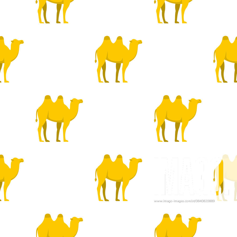 Yellow Camel Pattern Seamless Yellow camel pattern seamless background ...