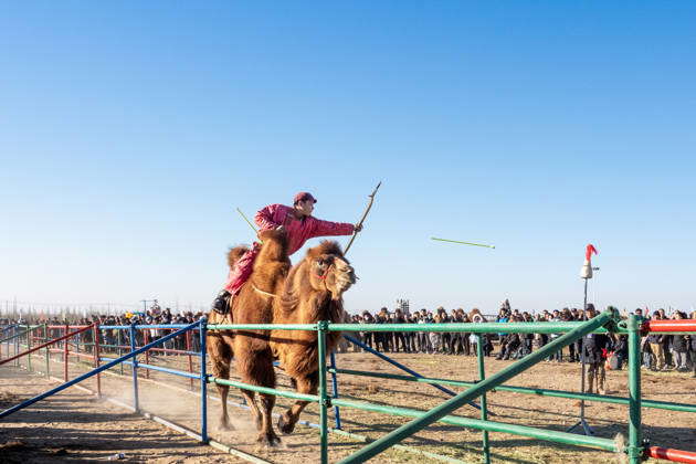 ALXA, CHINA - DECEMBER 28: A participant riding a camel performs ...