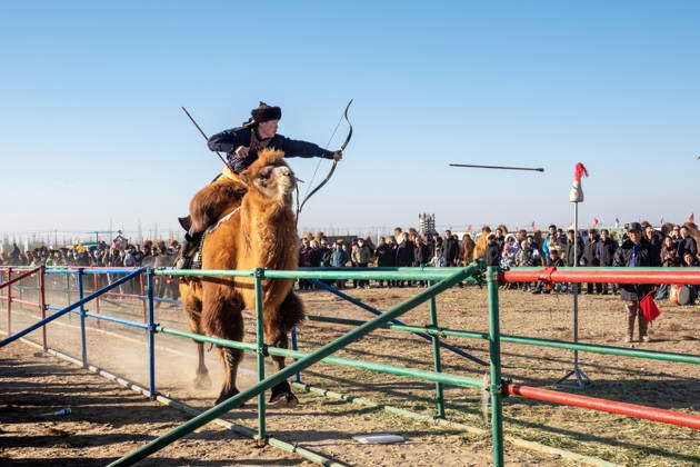 ALXA, CHINA - DECEMBER 28: A participant riding a camel performs ...