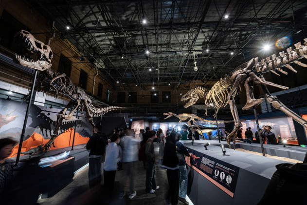 Rex China Tyrannosaurus Rex Stock Photos – License High‑Quality Images | IMAGO