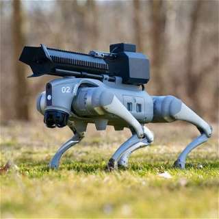 Thermonator, robot dog flamethrower from the company Throwflame